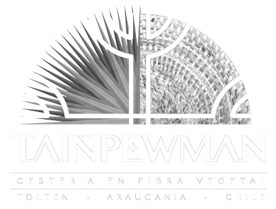 logo-tainpewman